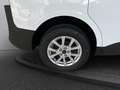 Ford Tourneo Courier 1,0 EcoBoost Titanium Blanc - thumbnail 14