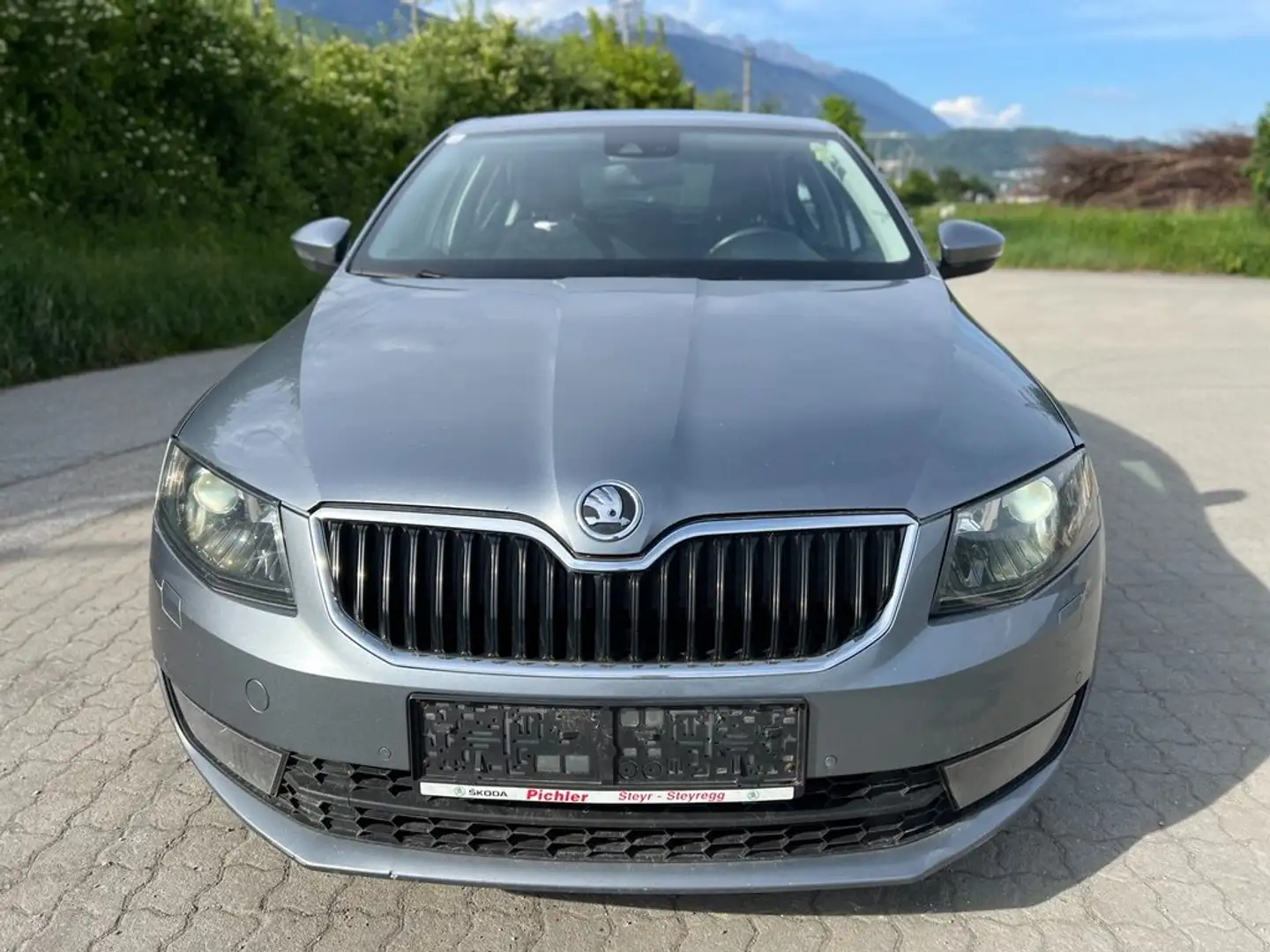 Skoda Octavia Elegance 1.6 TDI Automatik Xenon LED PDC Gris - 2