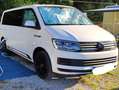Volkswagen T6 California Bulli im Camper "California Style" - Küche+Bett Weiß - thumbnail 13