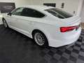Audi A5 40 TDI Quattro*AHK*Head-Up*Bang & Olufsen Blanc - thumbnail 11
