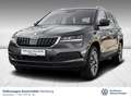 Skoda Karoq 1.5 TSI DSG Clever KAMERA/LED/NAVI Grau - thumbnail 1
