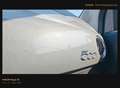 Fiat 500 Fiat 500 1.0 hybrid Cult 70cv Gris - thumbnail 12