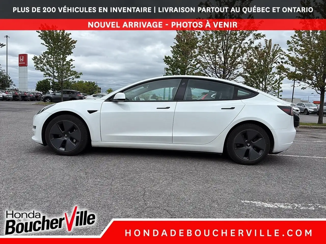 Tesla Model 3 photo Tesla Model 3