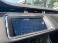 Land Rover Range Rover Evoque S AWD R-Cam DAB Goud - thumbnail 14