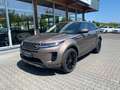Land Rover Range Rover Evoque S AWD R-Cam DAB Goud - thumbnail 3