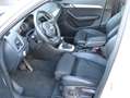 Audi Q3 S line Sport*Automatik*Xenon*Euro6* Weiß - thumbnail 10