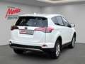 Toyota RAV 4 2.5 Hybrid Executive *LEDER*AHK*ALLWETTER* Weiß - thumbnail 3