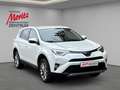 Toyota RAV 4 2.5 Hybrid Executive *LEDER*AHK*ALLWETTER* Weiß - thumbnail 4