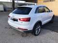 Audi Q3 Q3 2.0 tdi Advanced quattro 177cv s-tronic Bianco - thumbnail 8