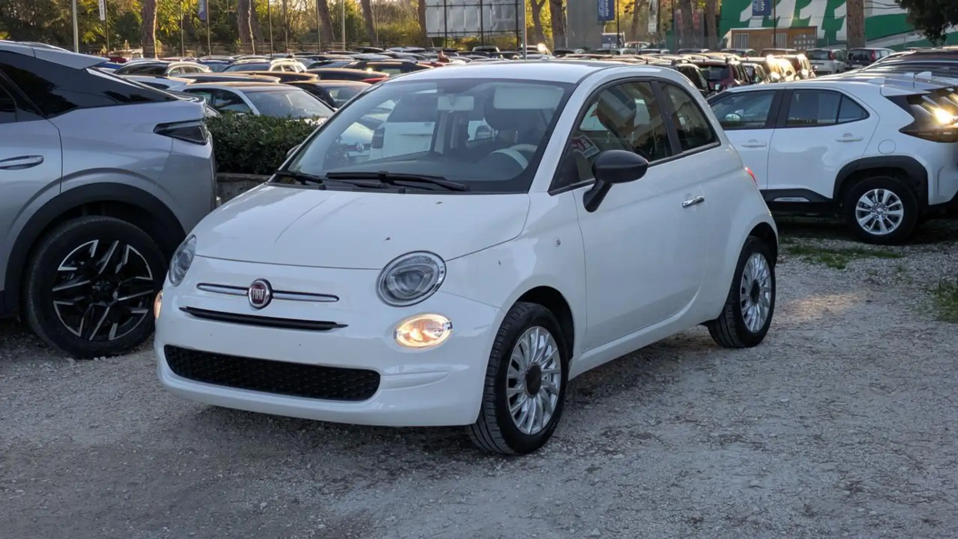 Fiat 500 HYBRID 1.0cc 70cv  CERCHI IN LEGA Bianco - 2