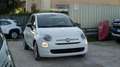Fiat 500 HYBRID 1.0cc 70cv  CERCHI IN LEGA Bianco - thumbnail 3