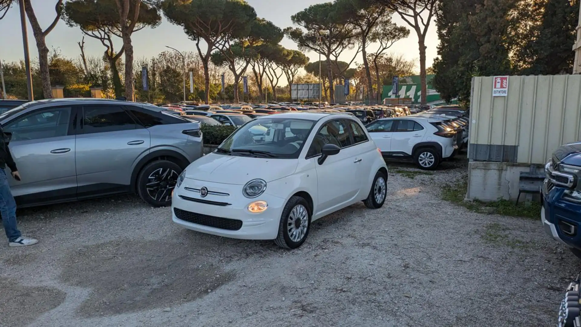 Fiat 500 HYBRID 1.0cc 70cv  CERCHI IN LEGA Bianco - 1