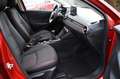 Mazda 2 e-SKYACTIV G 90 M HYBRID Homura AKA *LED+CAM* Red - thumbnail 11