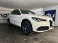 Alfa Romeo Stelvio 2.2 JTDM Veloce Q4 NERO-PAKET RFK SHZ LHZ ACC BLI Weiß - thumbnail 7