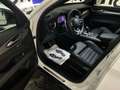 Alfa Romeo Stelvio 2.2 JTDM Veloce Q4 NERO-PAKET RFK SHZ LHZ ACC BLI Weiß - thumbnail 8
