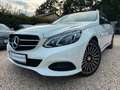 Mercedes-Benz E 220 BlueTEC 4MATIC Pano*360Kam*Tempo*Navi Weiß - thumbnail 1
