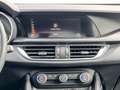 Alfa Romeo Stelvio 2.0 Turbo Super Q4/ Automatic / 1 Year Warranty Grijs - thumbnail 10