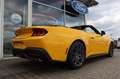 Ford Mustang Convertible GT 5.0 V8 NEUES MODELL Weiß - thumbnail 8