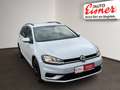 Volkswagen Golf Variant TRENDLINE 1.6 TDI Weiß - thumbnail 16