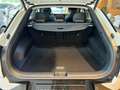 Kia EV6 77,4 kWh Basis RWD AIR-PAKET Weiß - thumbnail 11
