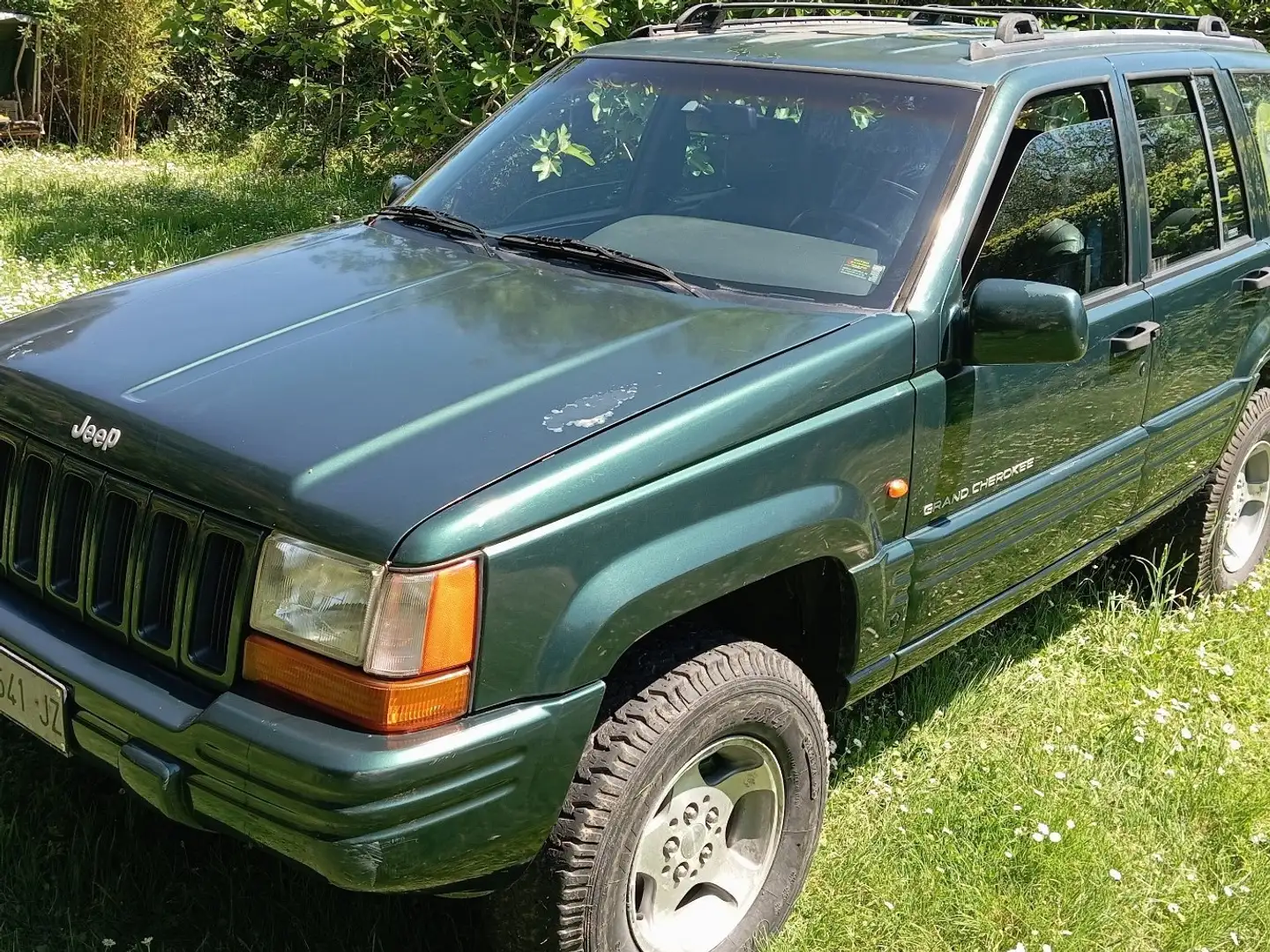 Jeep Grand Cherokee 2.5 TD Limited Green - 1