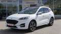 Ford Kuga 2.5 Duratec PHEV ST-Line LED Panorama B&O Weiß - thumbnail 2
