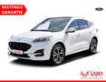 Ford Kuga 2.5 Duratec PHEV ST-Line LED Panorama B&O Weiß - thumbnail 1
