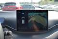 BYD Dolphin Surf SURF Comfort 43,2 kWh **Vorbestelltes Fahrzeug** Blau - thumbnail 20