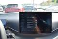 BYD Dolphin Surf SURF Comfort 43,2 kWh **Vorbestelltes Fahrzeug** Blau - thumbnail 21
