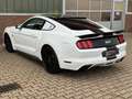 Ford Mustang GT Fastback Cervinis Edition Recaro Wit - thumbnail 3