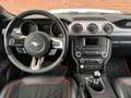 Ford Mustang GT Fastback Cervinis Edition Recaro Wit - thumbnail 20