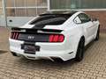 Ford Mustang GT Fastback Cervinis Edition Recaro Wit - thumbnail 8