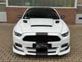 Ford Mustang GT Fastback Cervinis Edition Recaro Wit - thumbnail 19