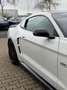 Ford Mustang GT Fastback Cervinis Edition Recaro Wit - thumbnail 18