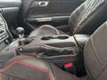Ford Mustang GT Fastback Cervinis Edition Recaro Wit - thumbnail 22