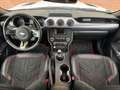 Ford Mustang GT Fastback Cervinis Edition Recaro Wit - thumbnail 7