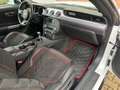 Ford Mustang GT Fastback Cervinis Edition Recaro Wit - thumbnail 23
