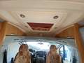 Adria Coral Coral 660 SL Enkelebedden Cruise airco - thumbnail 4