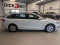 Skoda Octavia 2.0 TDI Combi Ambition LED SmartLink PDC Weiß - thumbnail 6