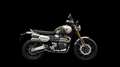 Triumph Scrambler 1200 XE Neues Model 2026 - thumbnail 3