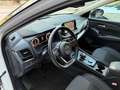 Nissan Qashqai MHEV 158 CV Xtronic N-Connecta 4WD Bianco - thumbnail 7