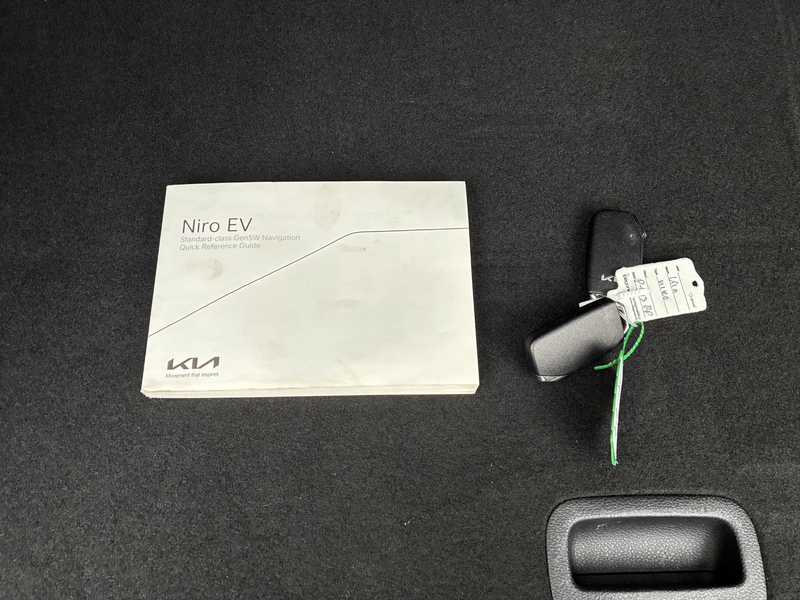Kia e-Niro ExecutiveLine 64 kWh | 100% SOH | TREKHAAK | LEDER — photo 16