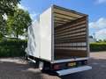 Iveco Daily 35C16 Achterdeuren (15 diverse modellen op voorraa Blanco - thumbnail 15
