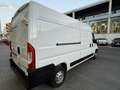 Opel Movano Fg. 2.2 BlueHDI Base 140 L3H3 3500 Blanco - thumbnail 7