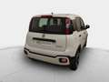 Fiat Panda CROSS 1.0 MHEV 70 CV 5P Blanco - thumbnail 2