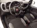 Fiat Panda CROSS 1.0 MHEV 70 CV 5P Blanco - thumbnail 11