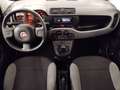 Fiat Panda CROSS 1.0 MHEV 70 CV 5P Blanco - thumbnail 8