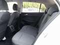 Volkswagen Golf VIII 1.0 TSI MOVE SITZHEIZUNG VORN ALLWETTERR. ... Weiß - thumbnail 10