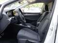 Volkswagen Golf VIII 1.0 TSI MOVE SITZHEIZUNG VORN ALLWETTERR. ... Weiß - thumbnail 5