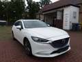 Mazda 6 2.2 Sports-Line AWD Autom.,Leder,Tempom. Navi Blanc - thumbnail 22